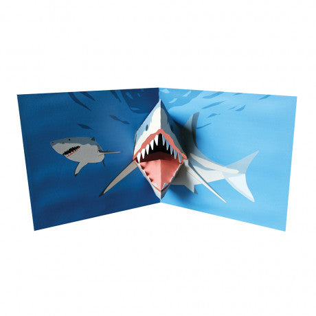 Pop-up kort med haj