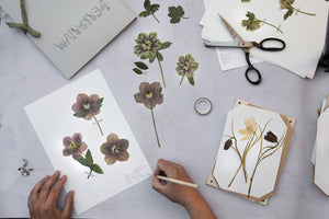 Kit Company - Herbarium-kit